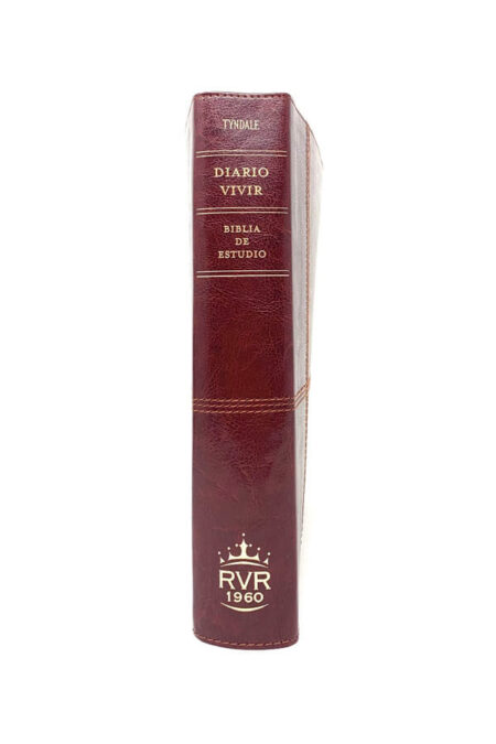 Biblia de Estudio Diario Vivir RVR60 con índice - color café/café claro