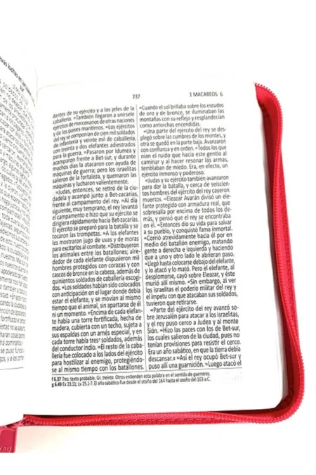 Biblia Dios Habla Hoy - pequeña con zipper color rosa