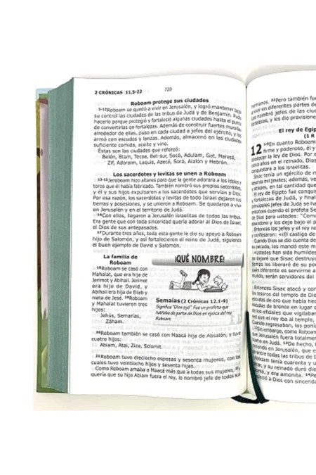 Biblia católica explicada - Es hora de entender la Biblia