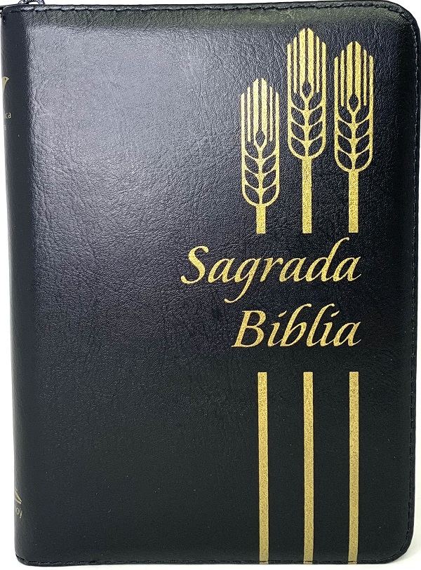 Sagrada Biblia Dios Habla Hoy Con Deuterocanónicos - Jerusalen ...