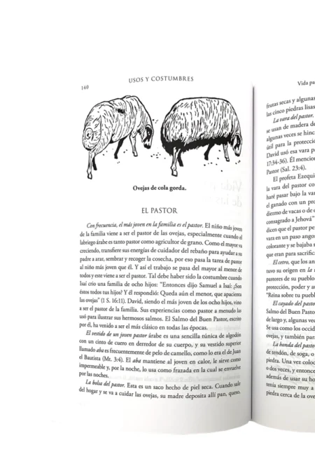 Usos y costumbres de las tierras bíblicas