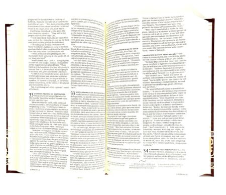 La Biblia Latinoamérica Español & English