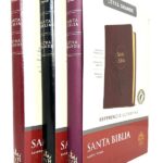 Santa Biblia RVR1960 letra grande - con uñeros