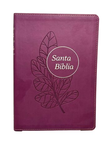 Santa Biblia RVR1960 letra grande - con uñeros - Imagen de 3