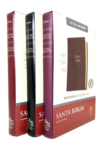 Santa Biblia RVR1960 letra grande - con uñeros